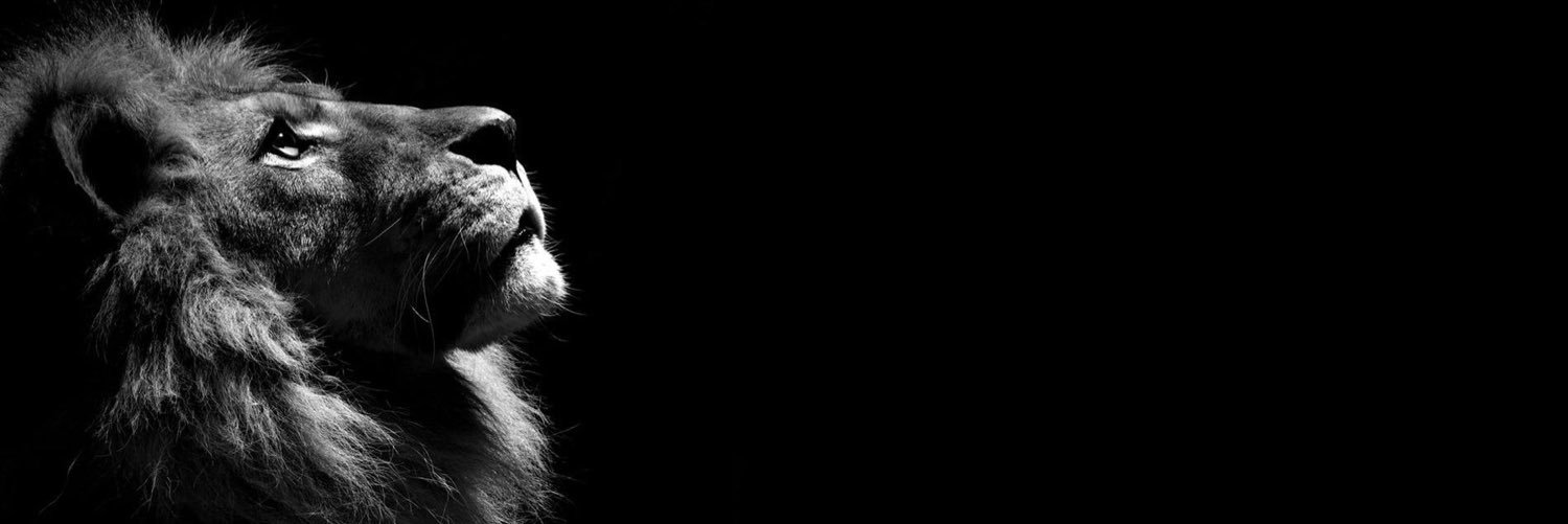 Rm_artinez's profile banner image