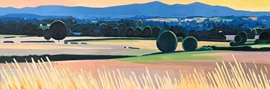 Mitch Richard banner