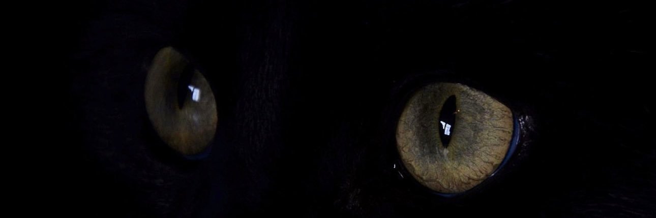 IayaIy's profile banner image
