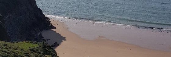 Tony Rawlings banner