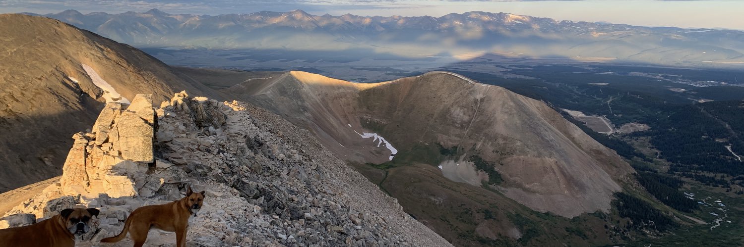 Addie Bracy (She/Her) banner