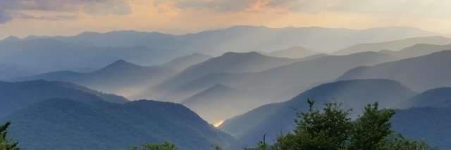 Mallack Walsh banner