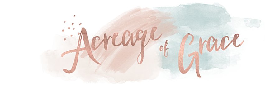 acreageofgrace's profile banner image