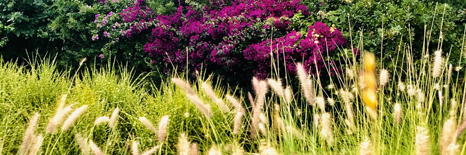 Thinking Green GI banner