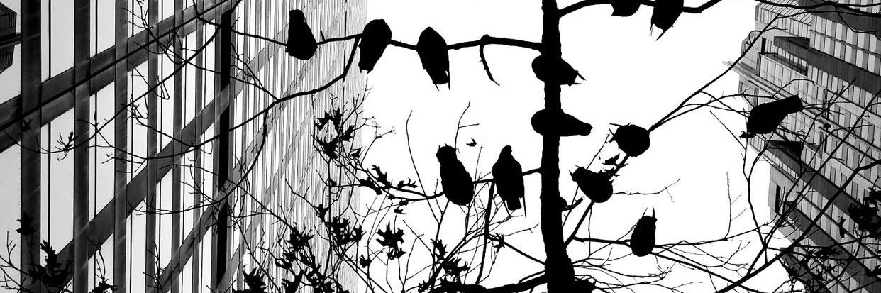 Delicatensse's profile banner image