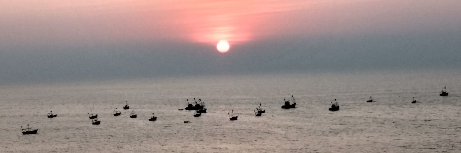 spaprikar's profile banner image