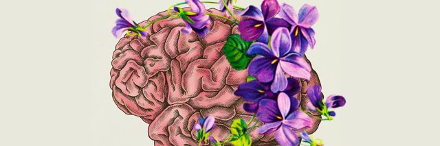 AMBlakeley's profile banner image