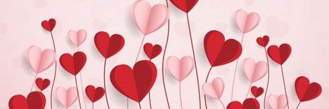 Amira Chaudhry banner