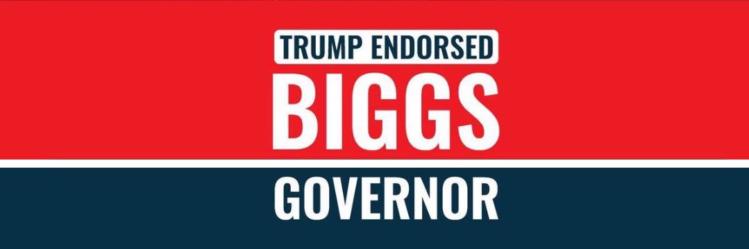 Andy Biggs's banner
