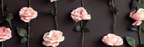 Francesca_OO_'s profile banner image