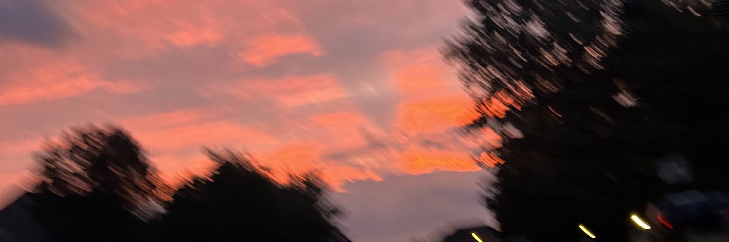 Emilee_Rae21's profile banner image