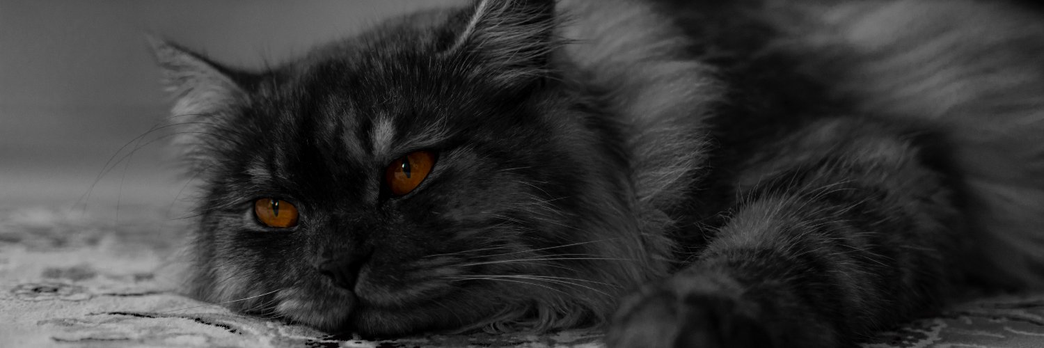 mrangerguy's profile banner image