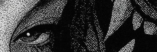 bbt997's profile banner image