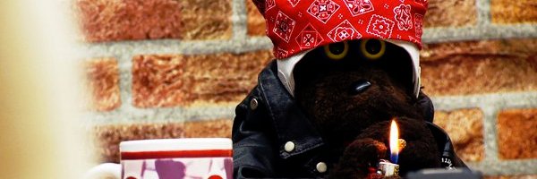 SwampHog's profile banner image