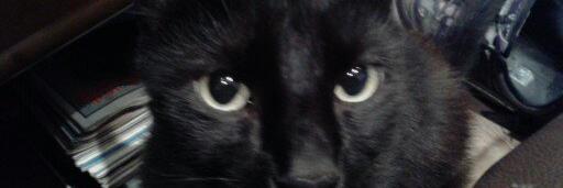 Cathy_M12's profile banner image