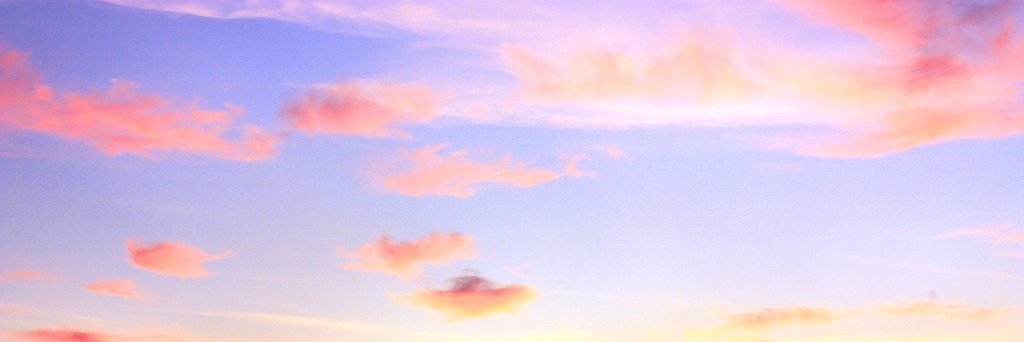 AndreaLeos's profile banner image