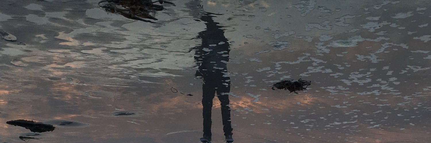 voidisagun's profile banner image