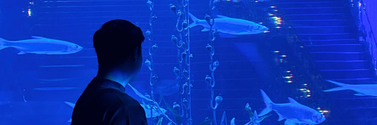 ppsarel's profile banner image