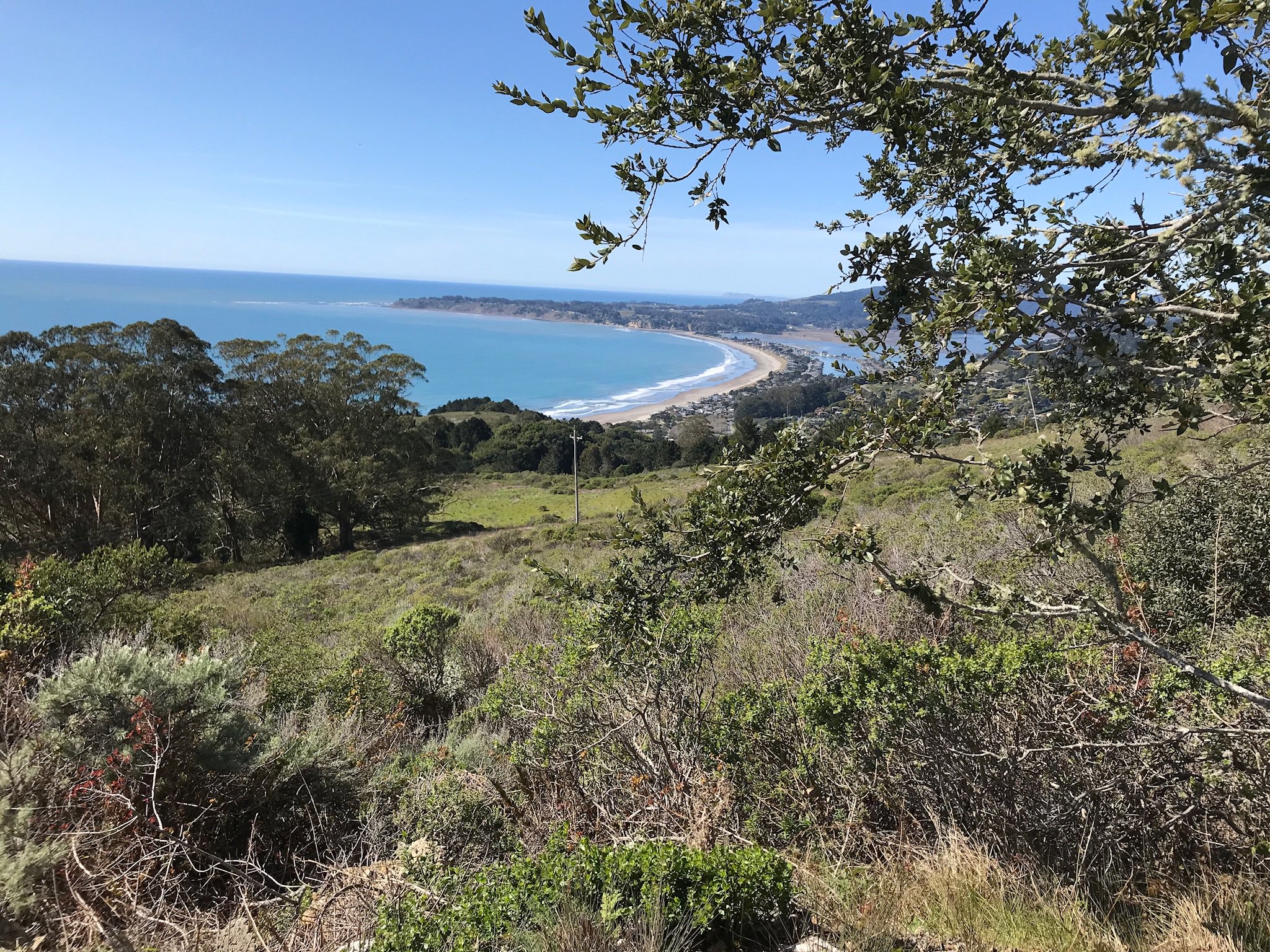 amn1788's profile banner image