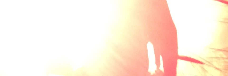 exdelol's profile banner image