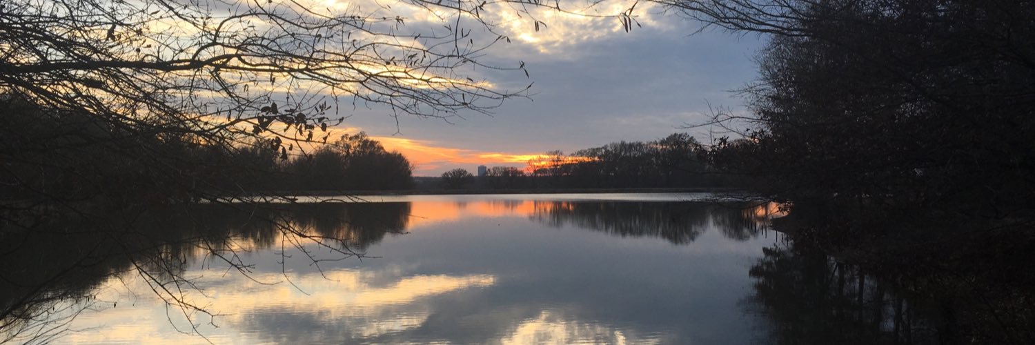 MemphisTimAdams's profile banner image