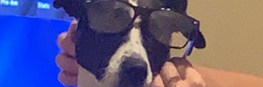 DipWheelerJrr's profile banner image