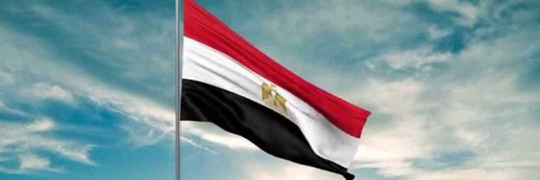 daliahassan202's profile banner image