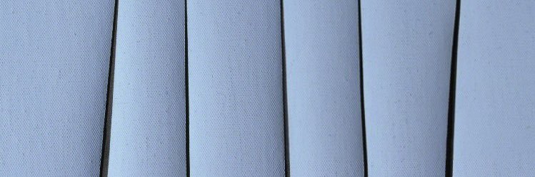 Megan Lightcap's banner