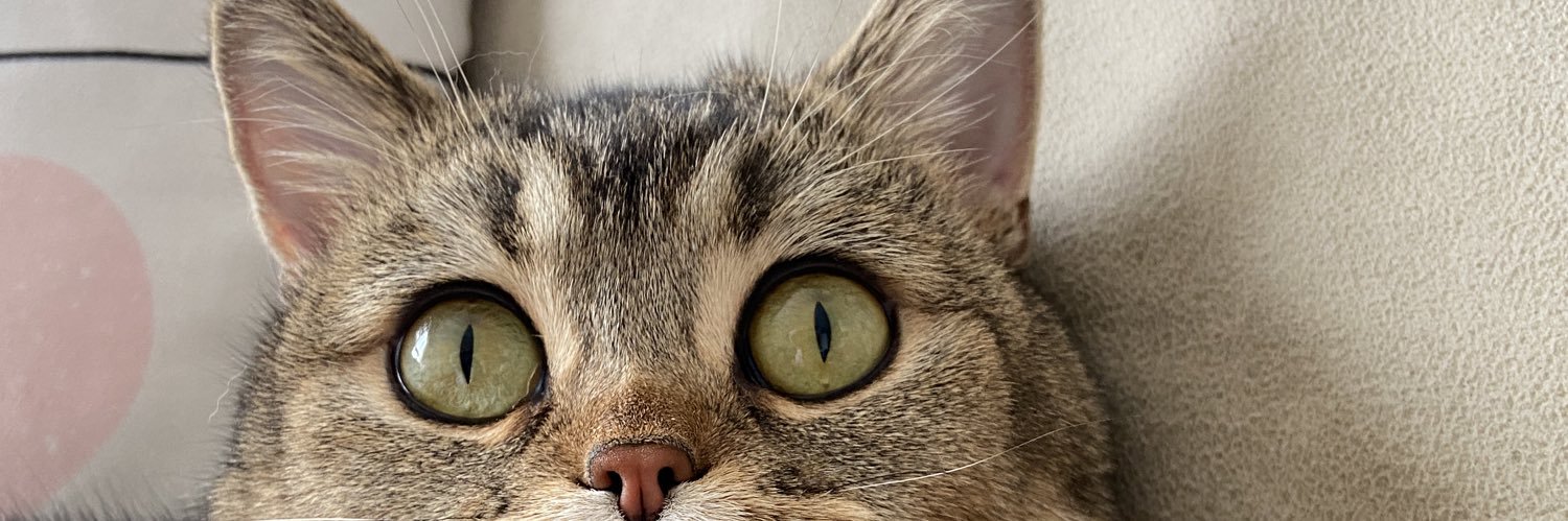 berretozlu's profile banner image