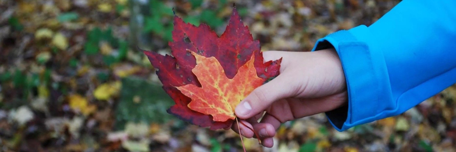 laurenlight95's profile banner image