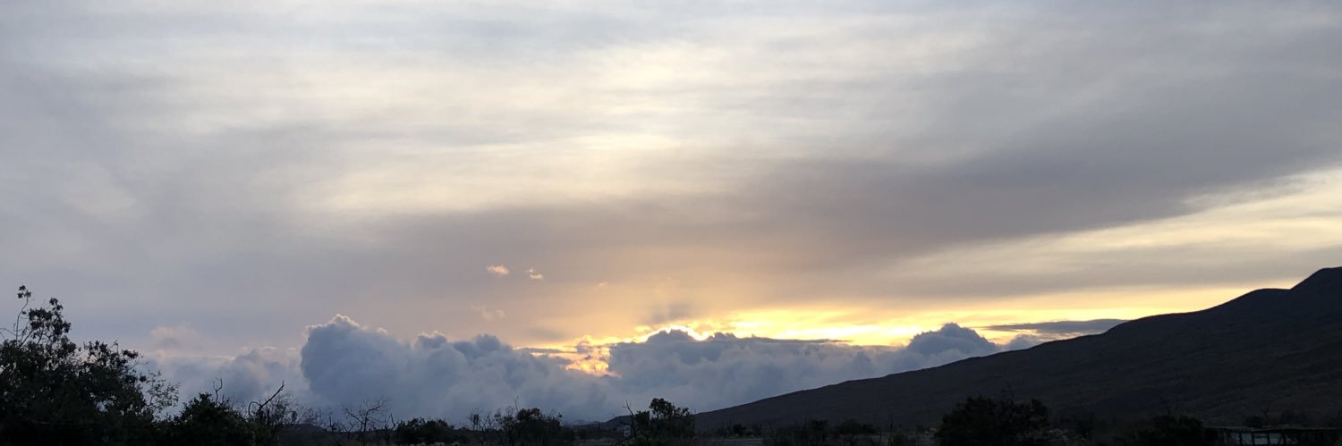teeahruh's profile banner image