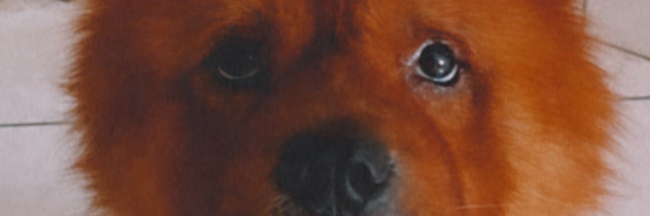 naoRodrigo's profile banner image