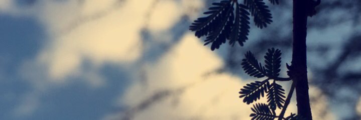 m7medeid's profile banner image