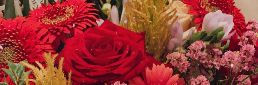enzaglno's profile banner image