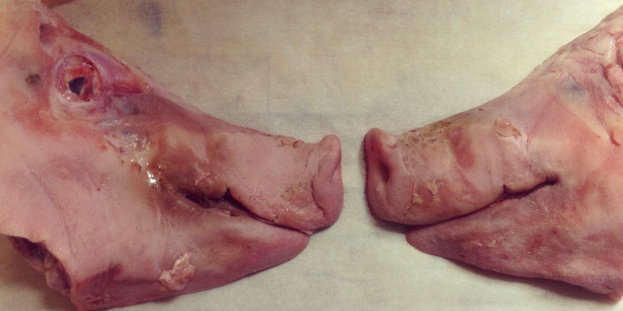 Margeaux Alcorta banner