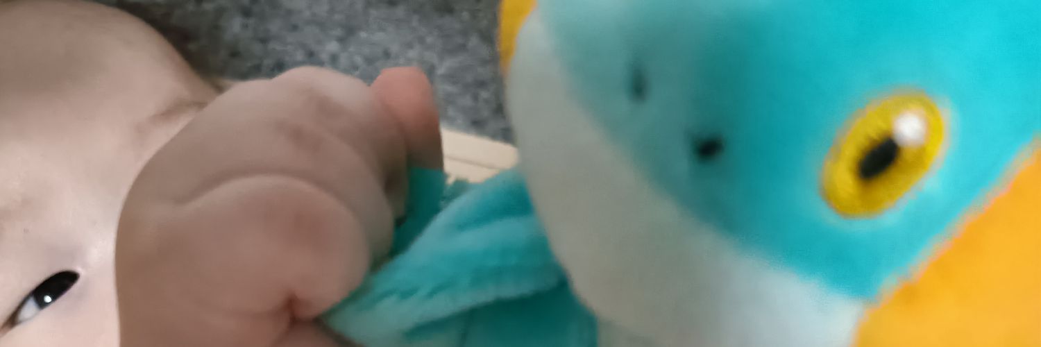 ちゃも banner