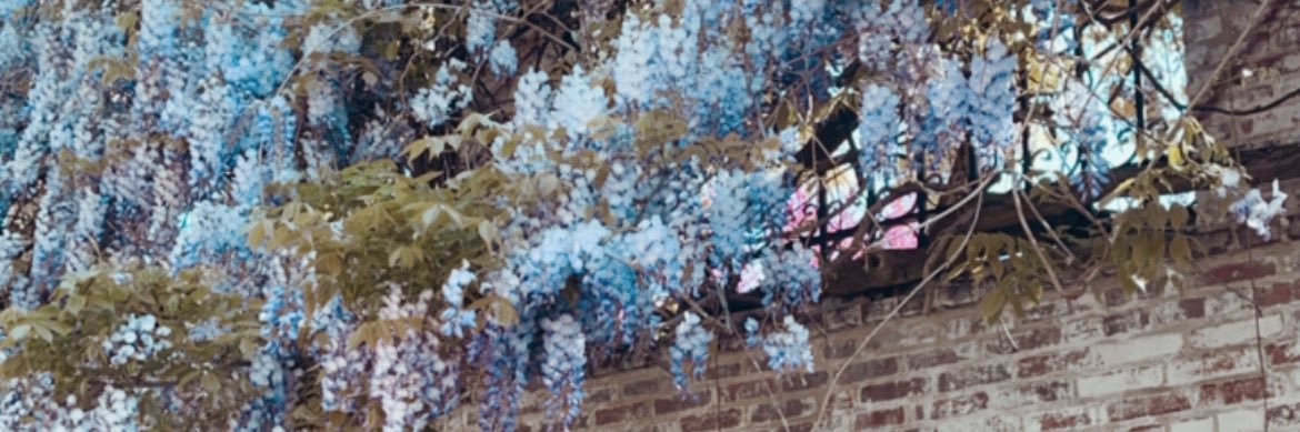 Kittty__KAT's profile banner image