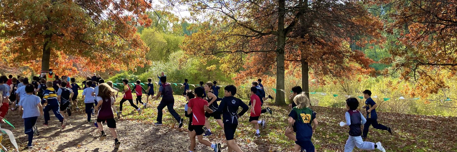 Erika Jenkins banner