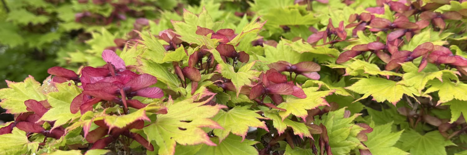 Prof Colin R Melville banner