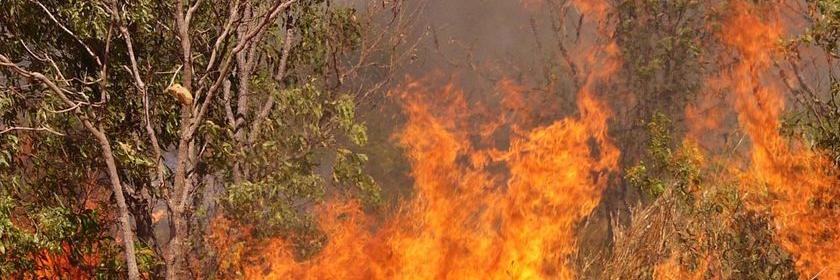 bushfire16's profile banner image