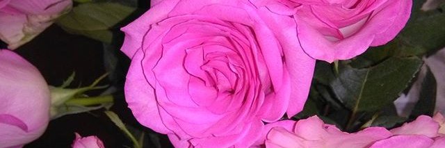 callan0811's profile banner image