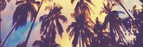 LuPaparelli's profile banner image