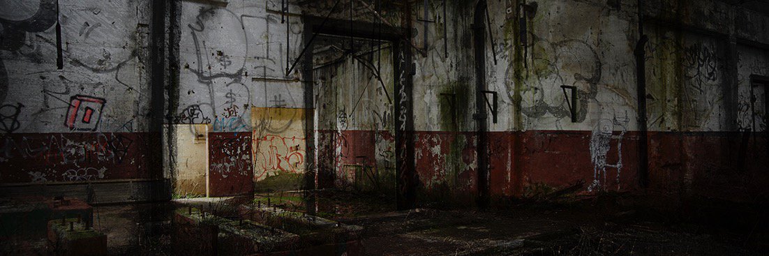 David Sinfield banner