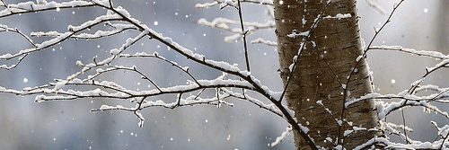 riddlerc's profile banner image