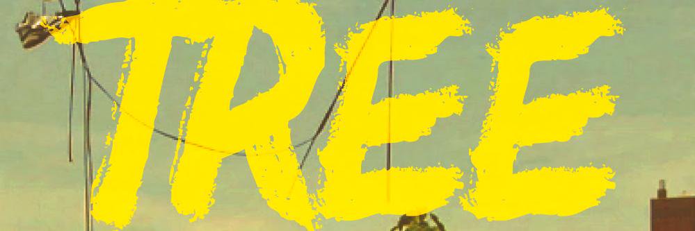 Aaron M. Wilson banner