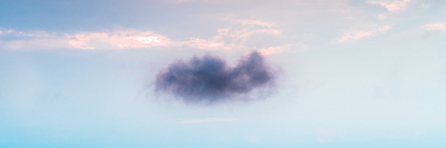 sylviecha's profile banner image