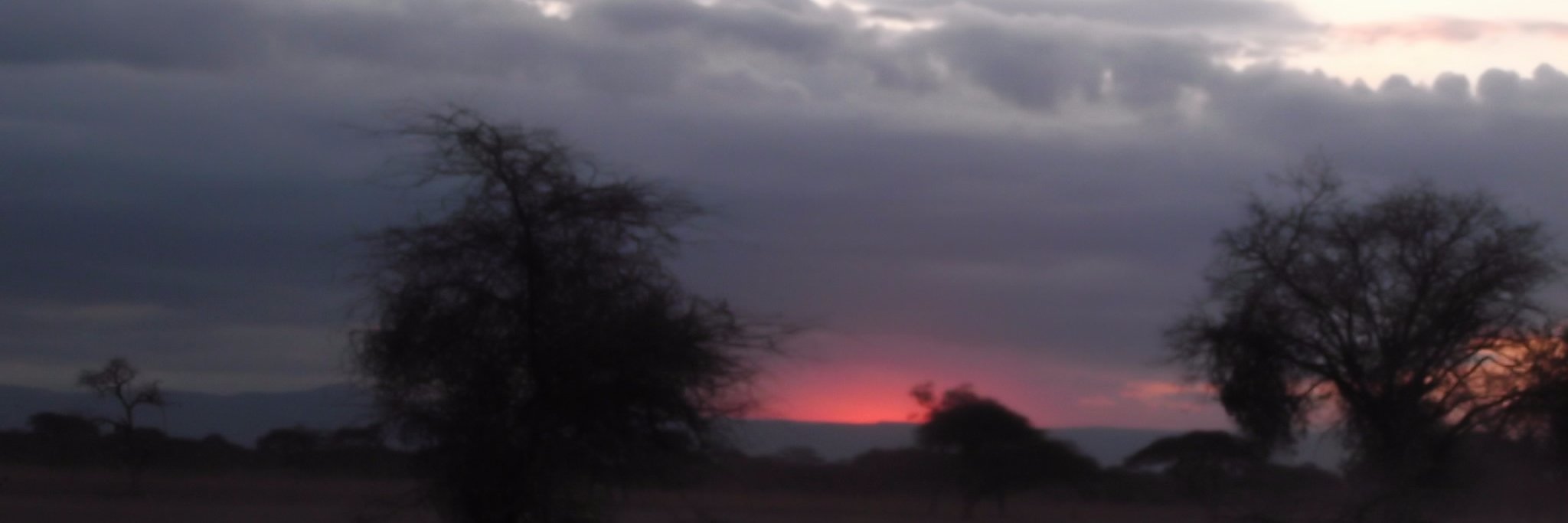 Sunsertiveness's profile banner image