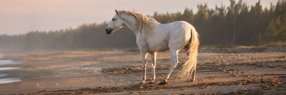 TruluckPhoto's profile banner image