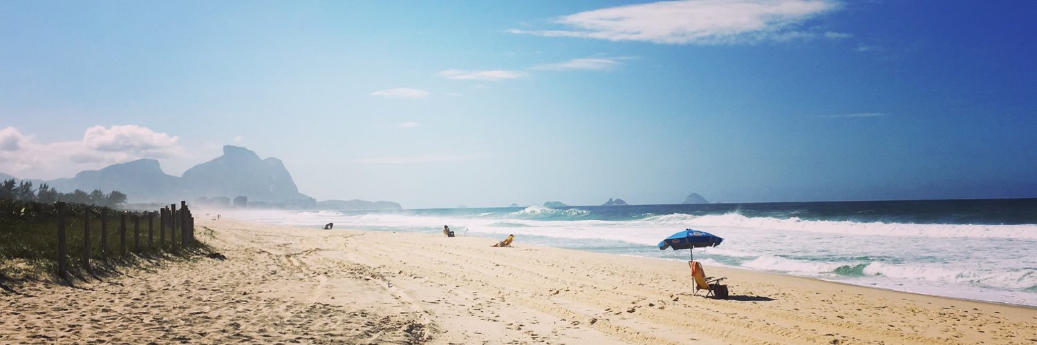 Daniela S Frozi, PhD banner