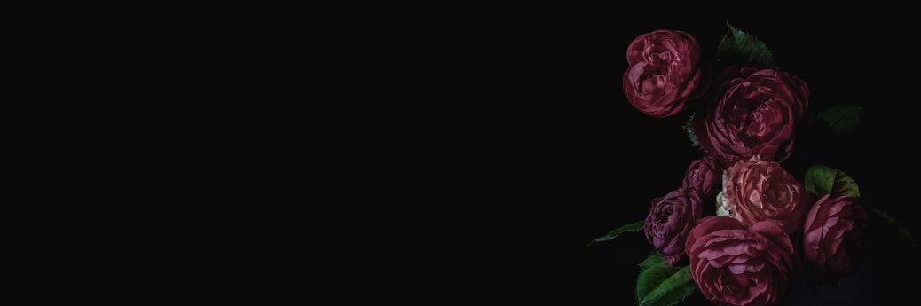 rezviva's profile banner image